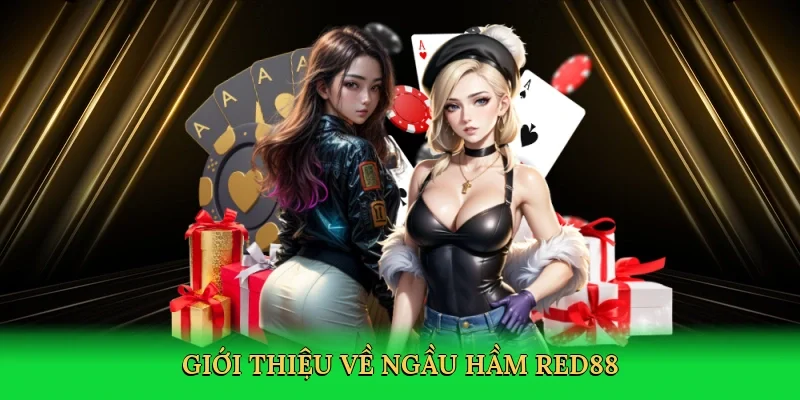 Giới thiệu về Ngầu hầm Red88
