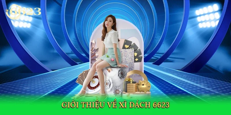 gioi-thieu-ve-xi-dach-6623-2
