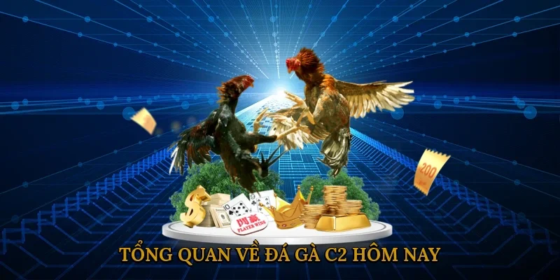 tong-quan-ve-da-ga-c2-hom-nay-1