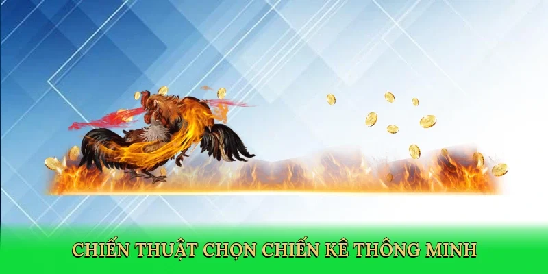 Chiến thuật chọn chiến kê thông minh