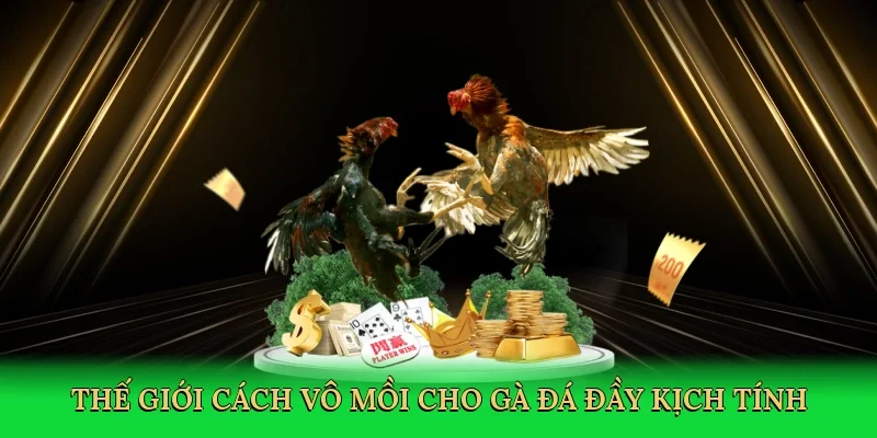 Thế giới cách vô mồi cho gà đá đầy kịch tính